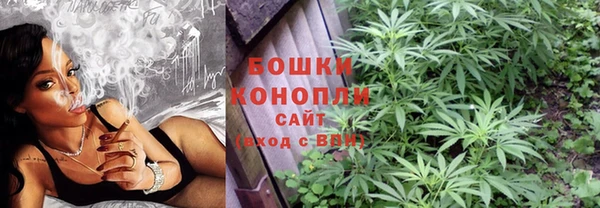 ешки Аркадак
