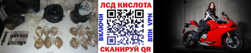 LSD-25 экстази кислота  даркнет клад  Ноябрьск  закладка 